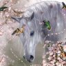 Picture of Sadie R
